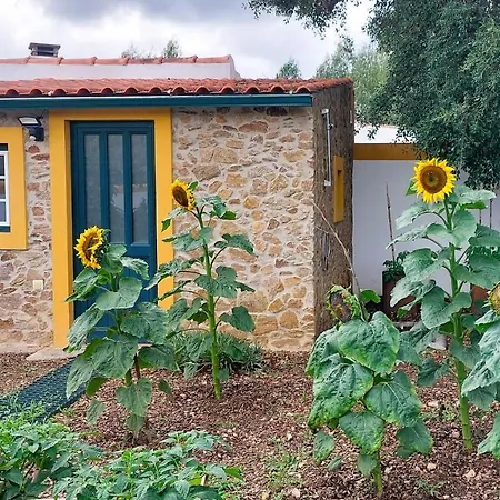 Quinta Do Feonix Konukevi *