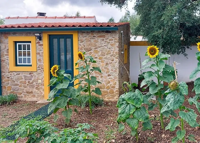 Quinta Do Feonix بيت ضيافة *