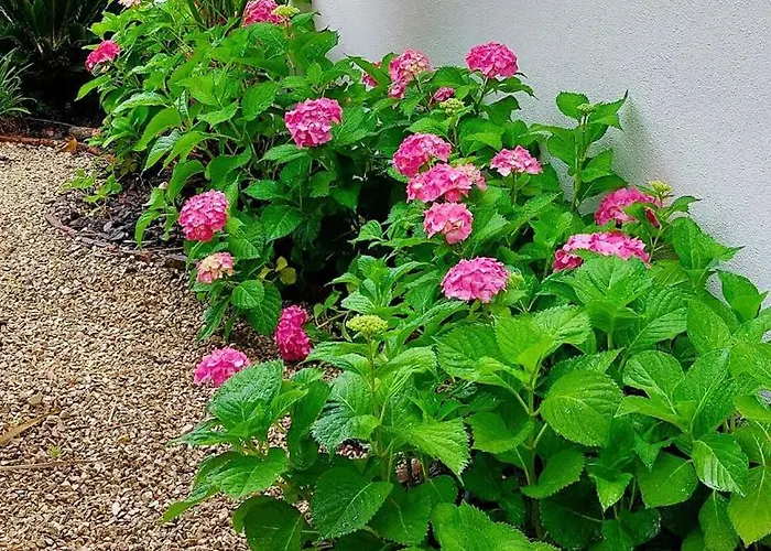 Quinta Do Feonix * Martinchel