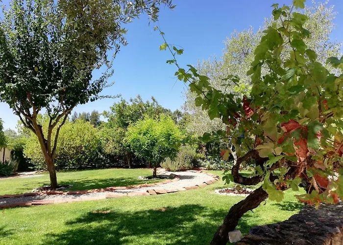 Quinta Do Feonix بيت ضيافة