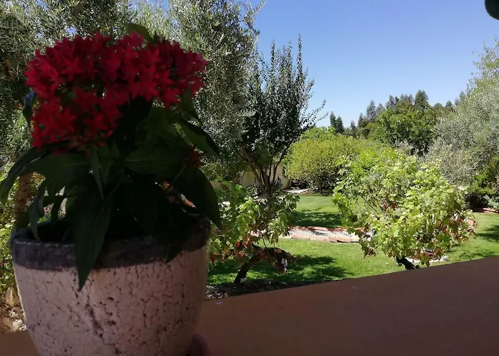 Quinta Do Feonix Penzion